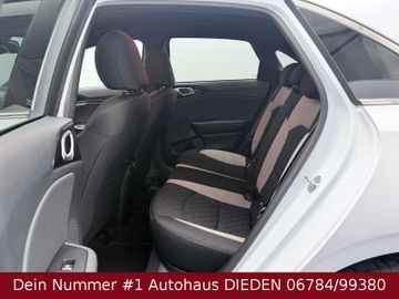 Bild 19