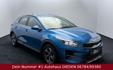 Bild 12