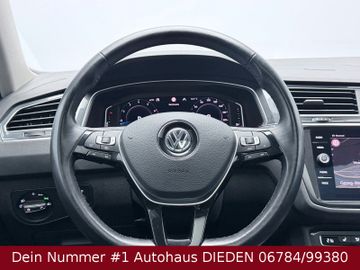 Bild 19