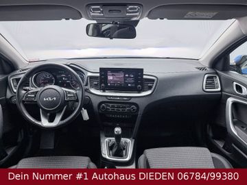 Bild 15