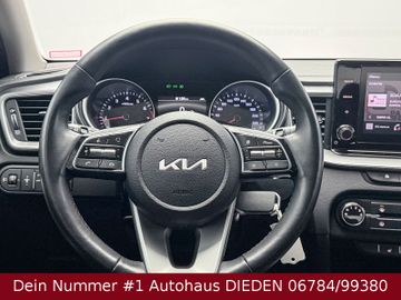 Bild 17